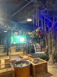 -酷嗒动物文化乐园(cutezoo西溪乐天城店)