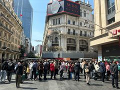 -沈大成(南京东路店)