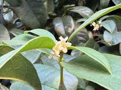 -苏州河梦清园环保主题公园