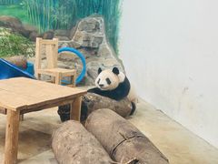 -杭州动物园