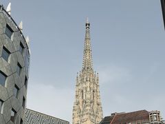 -斯蒂芬主教座堂(Stephansdom)