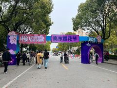 -高东镇樱花园