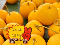 -乐乐鲜果水果超市(河北店)