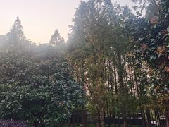 -云龙湖旅游景区