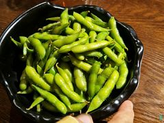 毛豆-薄荷小筑融合音乐餐吧(农业路店)