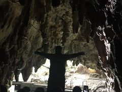 -怀托摩萤火虫洞