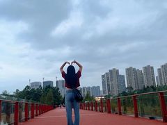 -青枫公园