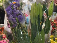 -循礼门鲜花花市(武汉循礼门店)