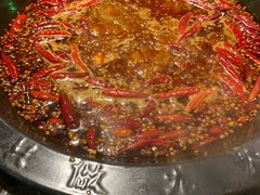 -蜀大侠火锅(建设路第五大道店)