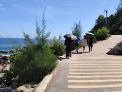 -广东惠东海龟国家级自然保护区