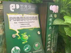 -野象谷景区