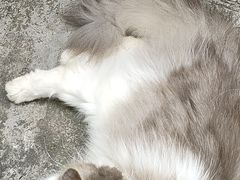 -老屋咖啡
