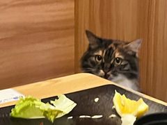 -雪月花(长江北路店)