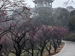 -无锡梅园公园
