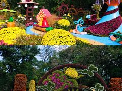 -共青国家森林公园-售票处