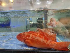 -海天一色海景自助餐厅(西港花园店)