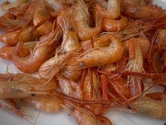 -小北江河鲜(新城店)