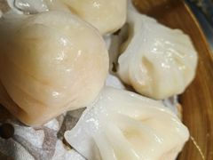 -高第街56号餐厅(银座商城玉函店)