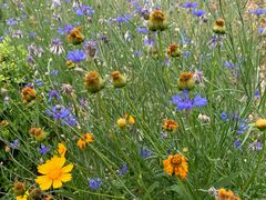 -南京外国语学校(仙林分校西区)