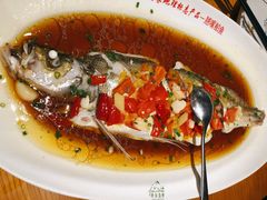 翘嘴鲌鱼-丹江渔村(望京店)