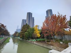 -国际青年会议酒店