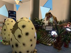 -广东科学中心科技影院