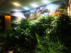 -素可汤泉(天宝大厦店)