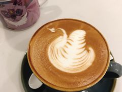 -飞行喵MR PILOT|猫舍·猫咖(静安大融城店)