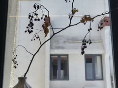 -素咫咖啡CLIFEROSE
