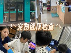 -瑞派天使宠物医院·神经外科·骨科·核磁CT(洛川中路店)