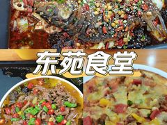 -东苑餐厅(厦门大学店)