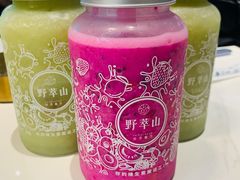 -野萃山·潮汕厚果汁(十亩地店)