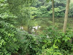 -黄陂区野村谷景区