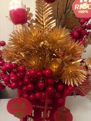 -金美秀瘦身养生