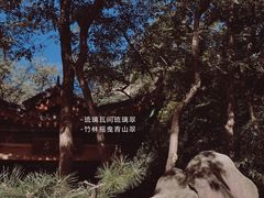 -竹子庵公园