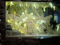 -湖南省地质博物馆