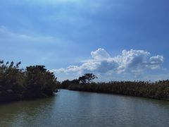 -大湾区中央湿地公园