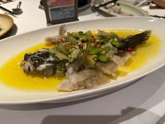 -南麓·浙里(外滩店)