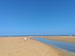 -日照海滨国家森林公园