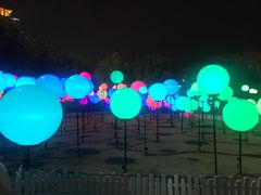 -锦江乐园舞狸花花游园会(夜场专享)