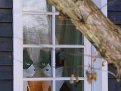 -三鹰之森吉卜力美术馆