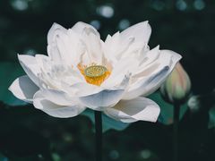 -重元寺