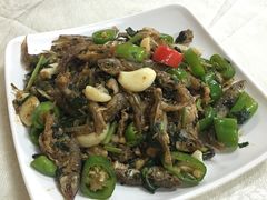 炒河鱼仔-年辉渔村·非遗传承餐厅(新丰江店)
