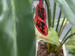 -巴黎春天(浦建店)