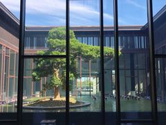 -上海崇明金茂凯悦酒店