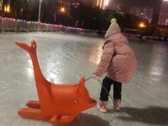 -沈阳奥体冰雪嘉年华