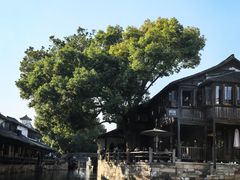 -乌镇东栅景区