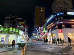-宝健路步行街(Pedestrian Shopping Street)