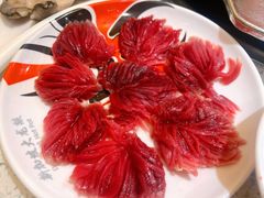 -DaLongYi Hotpot - 大龙燚火锅 - 地道四川老火锅