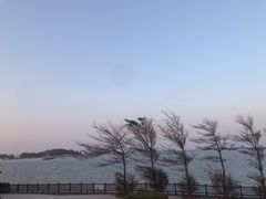 -东山风动石景区